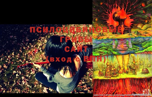 спайс Баксан