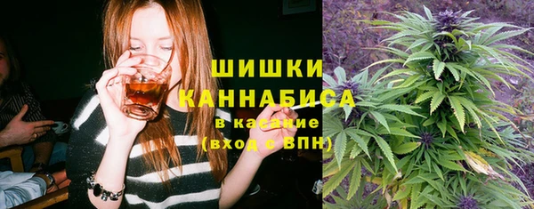 PSILOCYBIN Балахна