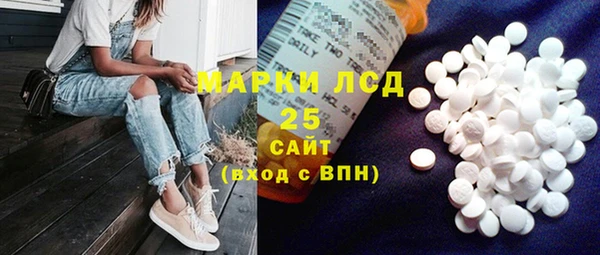 спайс Баксан